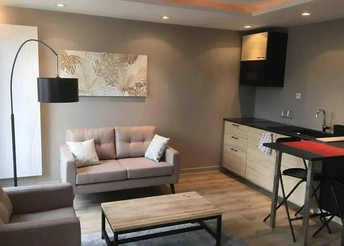 Studio Cosy Et Raffine En Hypercentre